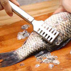 Stainless Steel Fish Scale Remover Scrapper